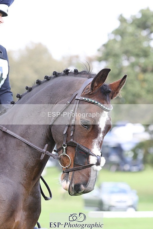 231019-142315-03958 - 444-REDHILL.SKANDEL-Emma.Stokes-DR