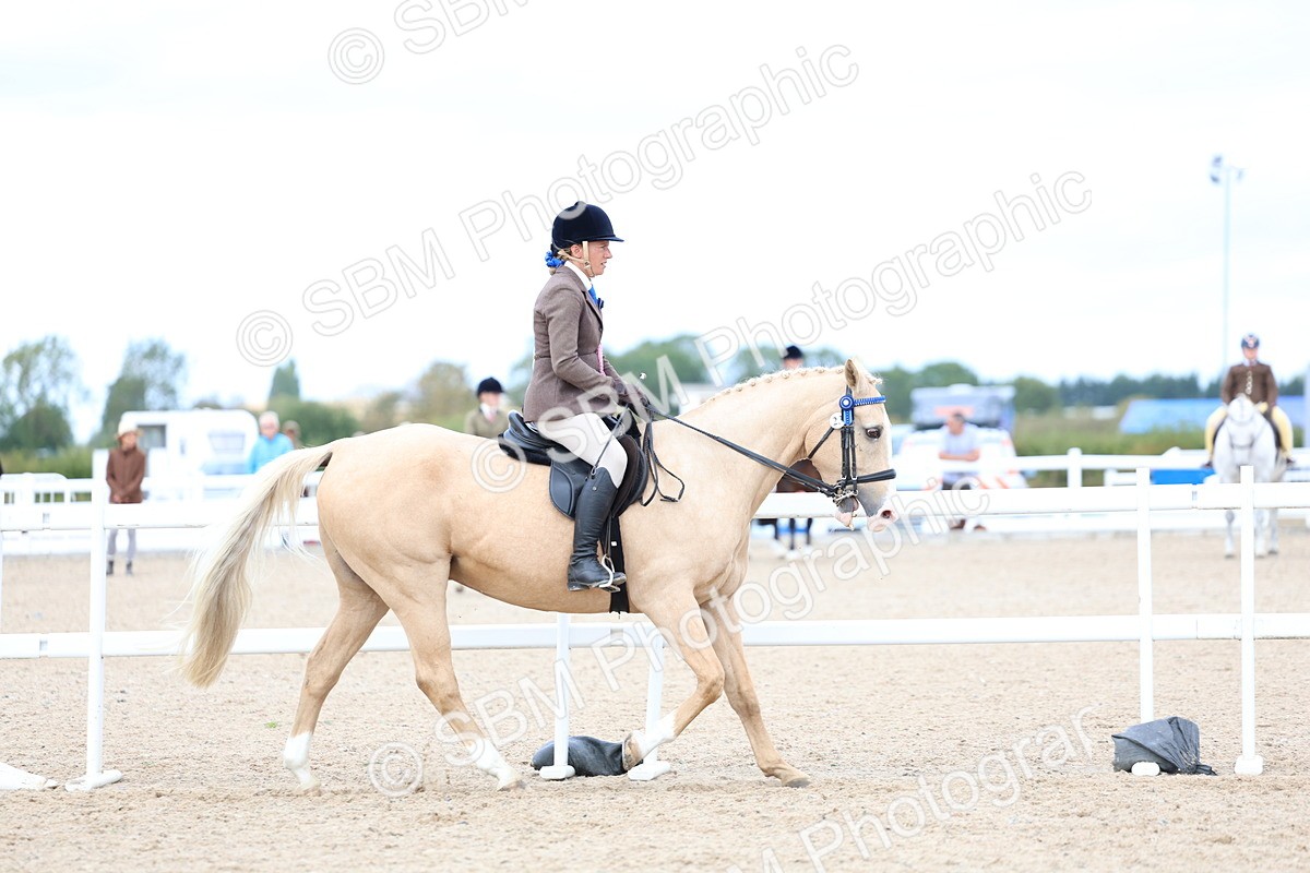 SBM_17293 - Class 315 - Best Horse - Rider Combination