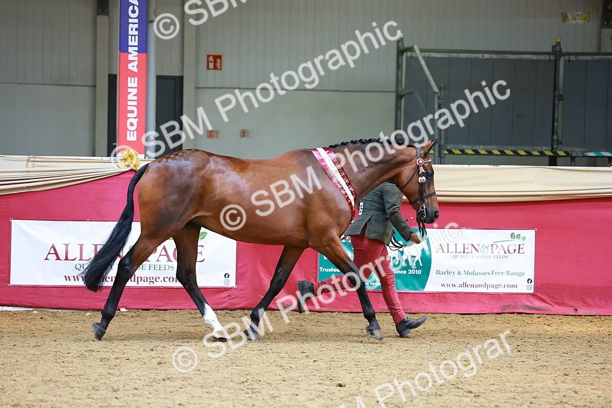 SBM_04425 - Regional IH Championship