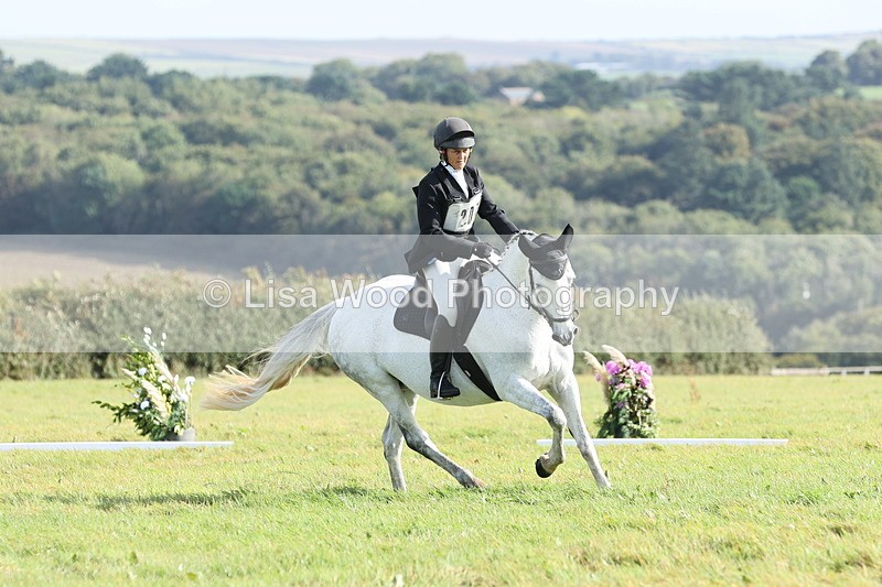 JPP_8098 - Class 2A: Trekenning Open: Dressage