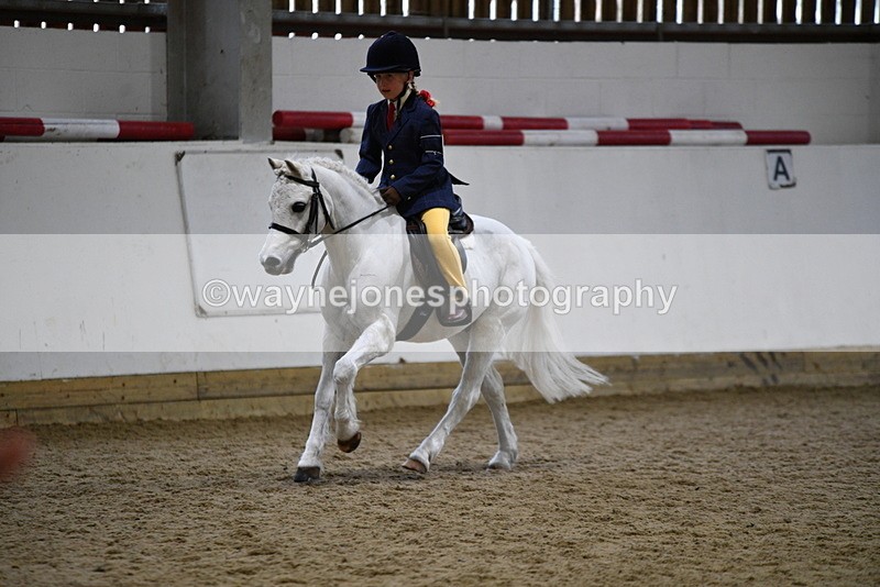 WJ5_7219 - Class 11 Ridden PC - RC Pony