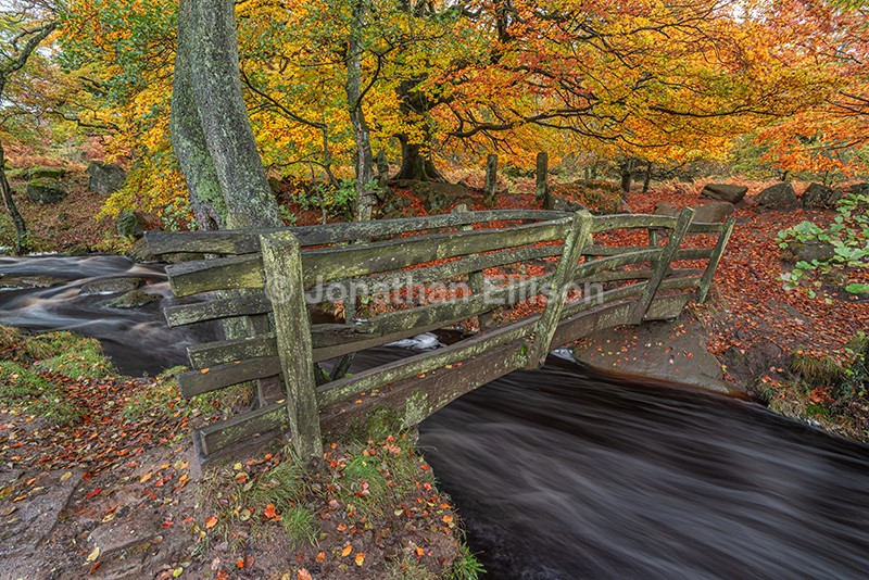 Padley Gorge - The Peak District