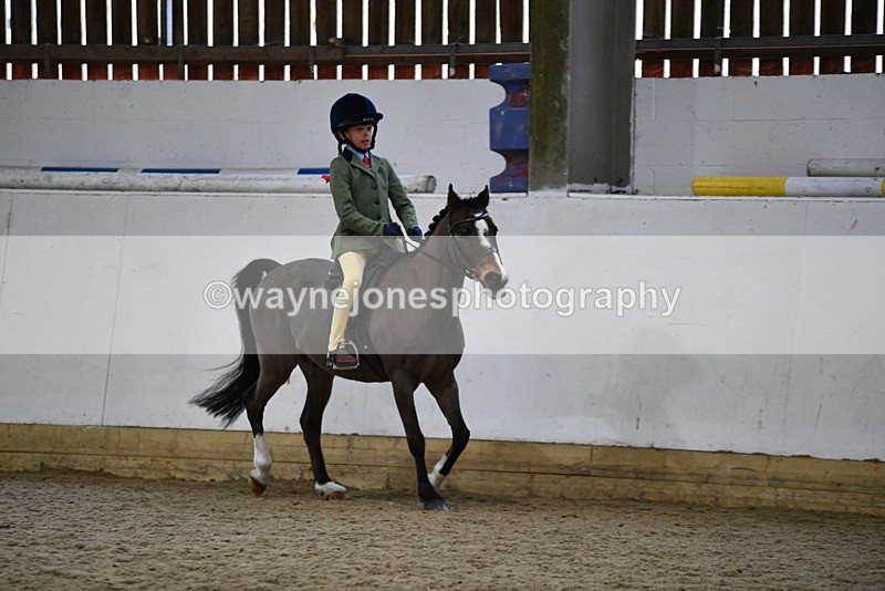 WJ5_7184 - Class 11 Ridden PC - RC Pony