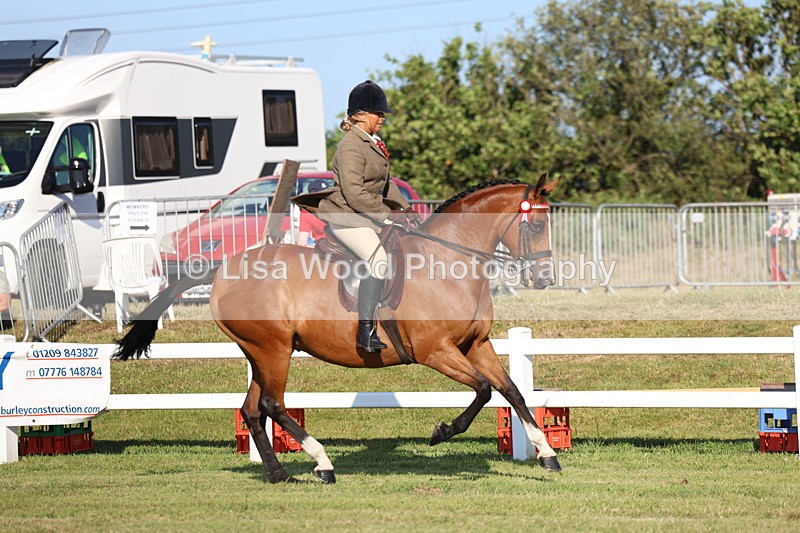 3E7A4984 - Class 1: Rising Star Small Hack/Riding Horses