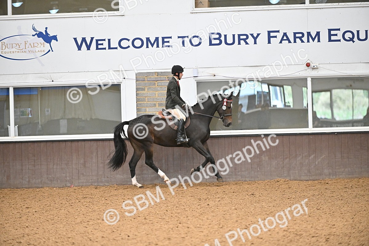 SBM_001455 - Class 19,20 - Ridden Native, Foreign Breeds & Warmbloods