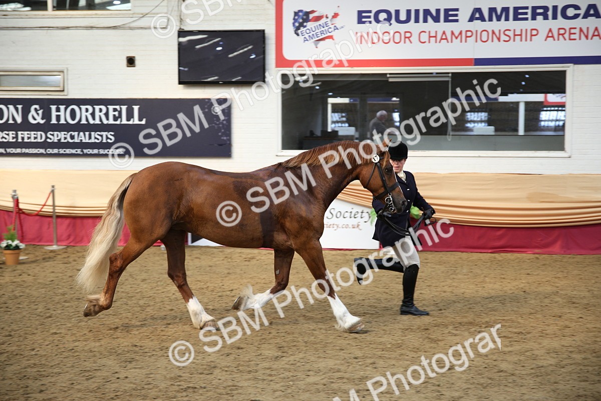 SBM_24793 - Class 906 - Supreme Final - Ridden Pre Vet