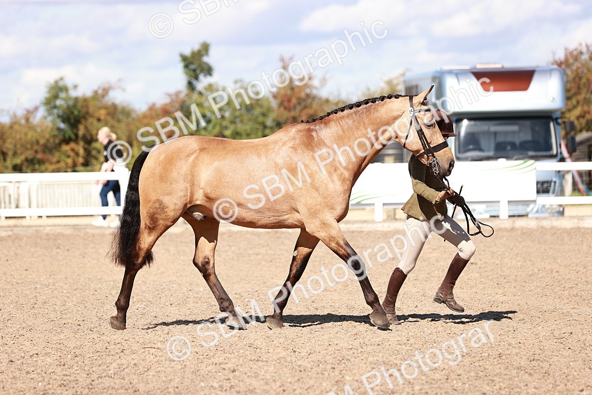 SBM_13300 - class 406 - IH Hunter