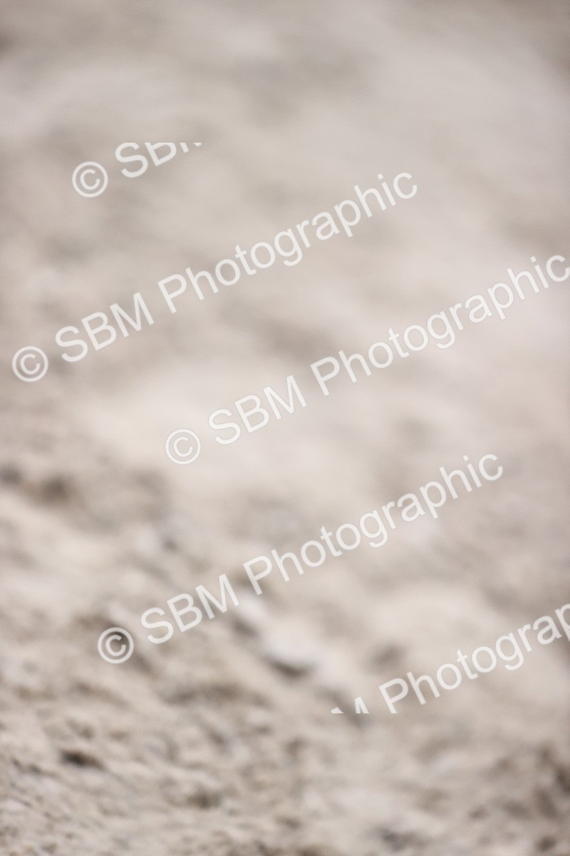 SBM_002709 - Class 12 - Springboard 128cm 138cm 90cm 1.00m