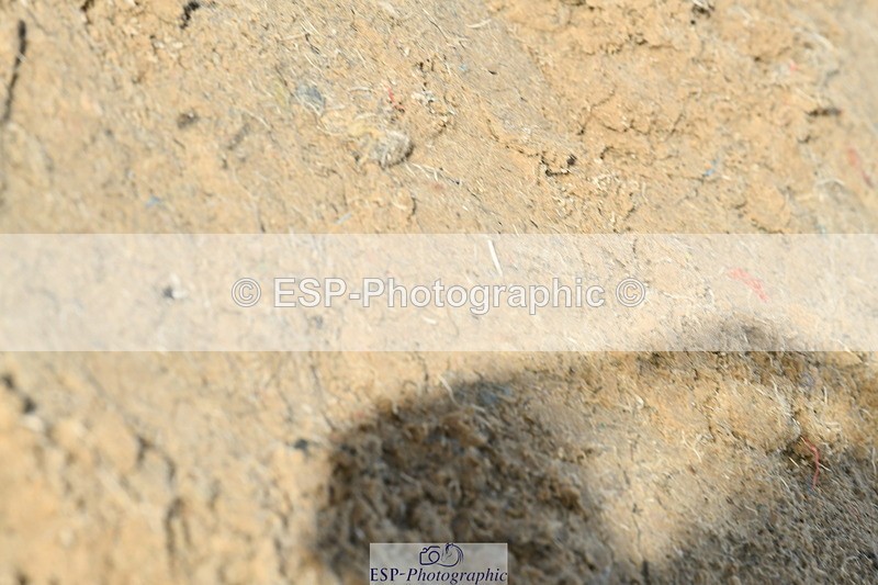 251004A-120314-00875 - Classes 4 & 5 50cm