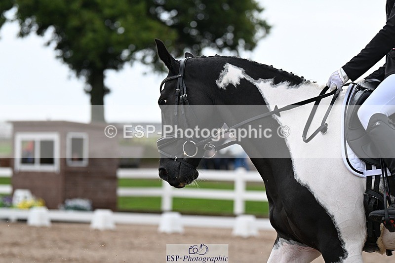 250907-115950-07323 - 020-Leo.De-ValentinoBarfields.Cosmopolitan