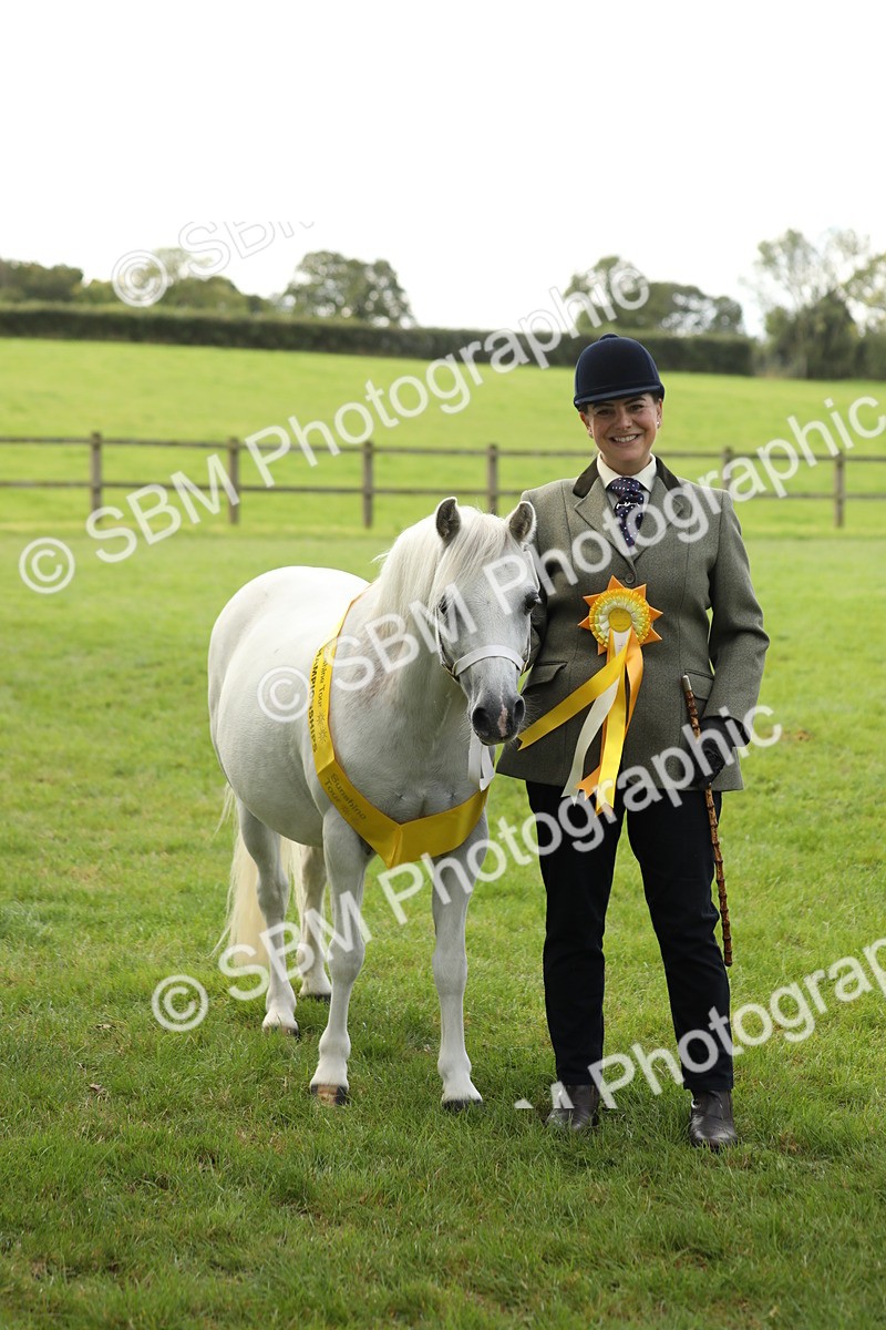 SBM_62839 - S46 - Mountain & Moorland In Hand Small Breeds