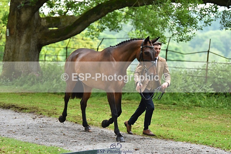 240522-165504-01249 - 228-SAGE_SOLDIER-Tom_Jackson