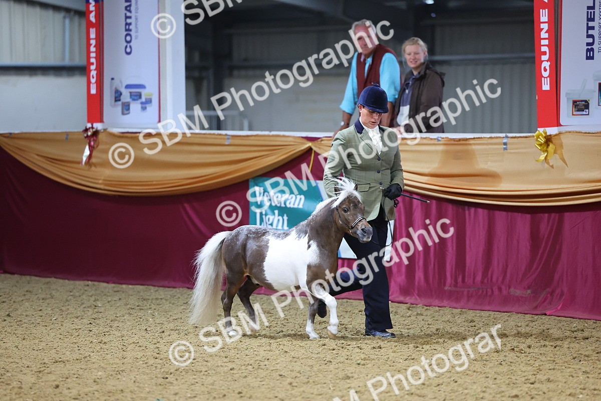 SBM_22815 - Class 903 - Supreme Final - IH Pre Vet