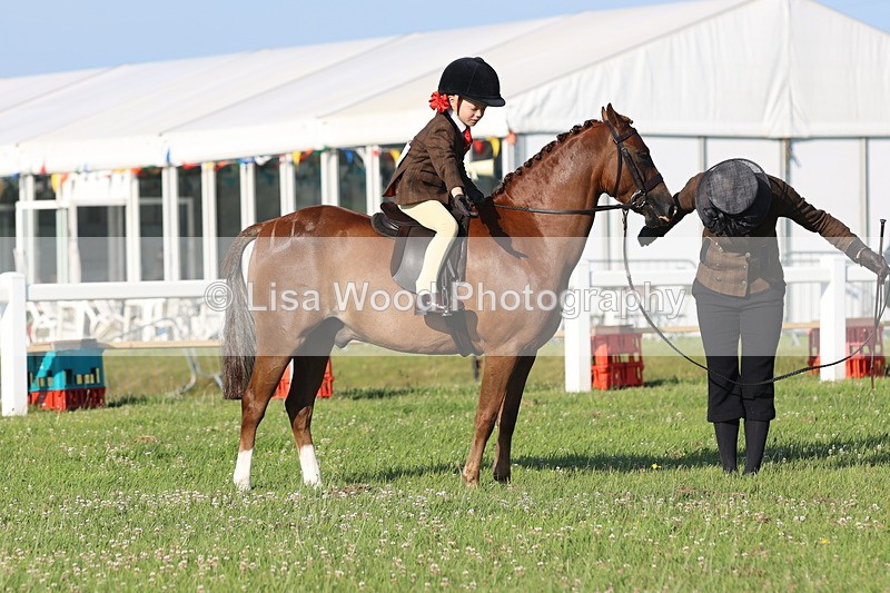 JPP_0713 - Class 16: Cornish Combination Leading Rein