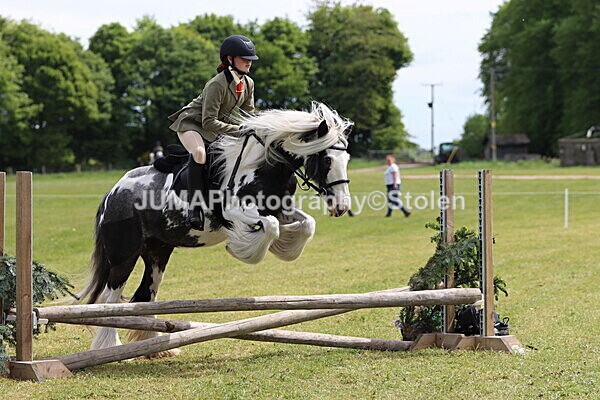 IMG_3143 - Working Hunter
