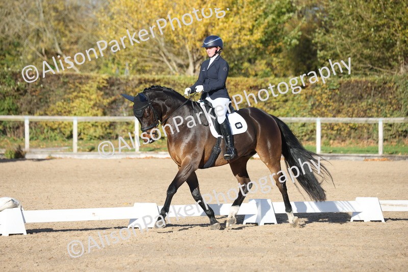 20251102-1230 - Class 7 - Medium 5