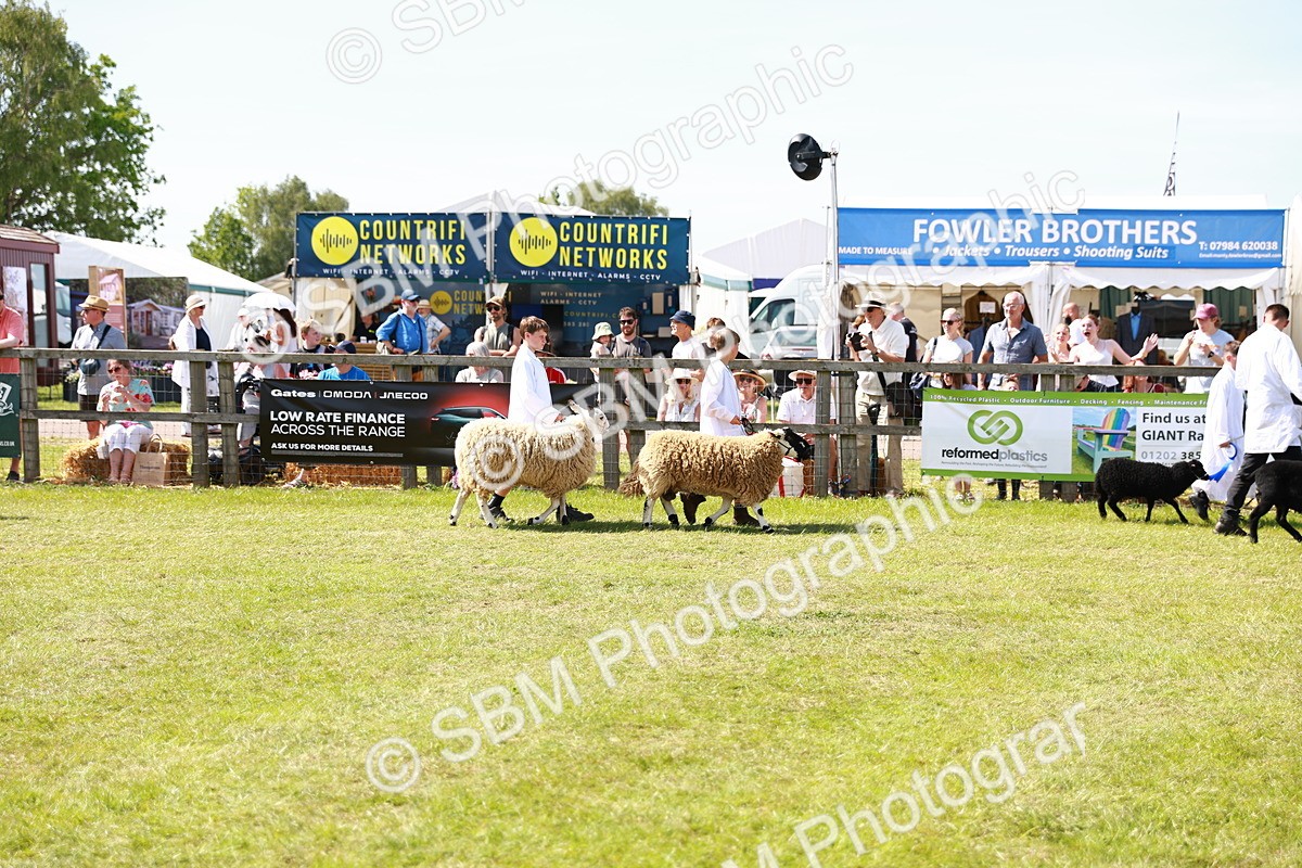SBM_08291 - Grand Parade