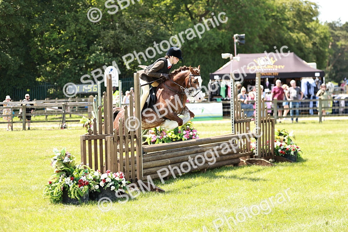 SBM_15524 - Class 108-109 - BSPS LIHS Open Gradle & Nursery Stakes