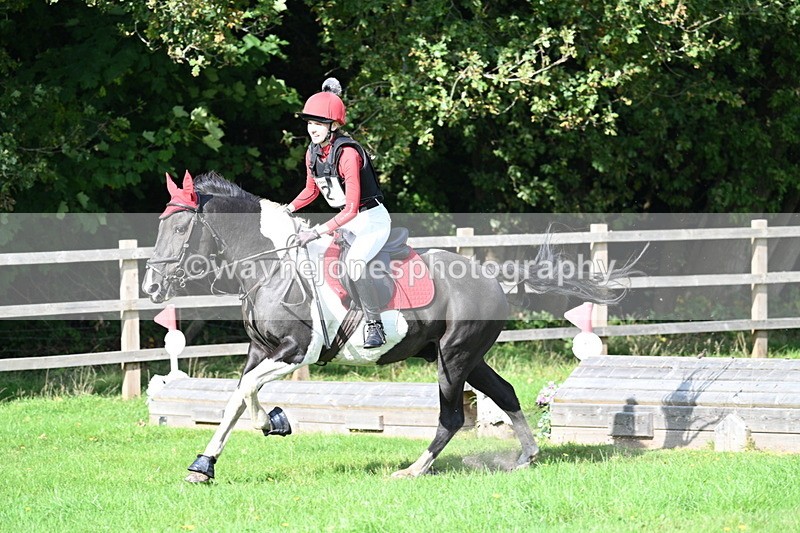 WJ7_4940 - 60cm Time 11:11 to 11:19