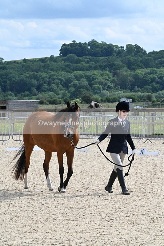 WJ7_8172 - Time 16:10 to 16:25