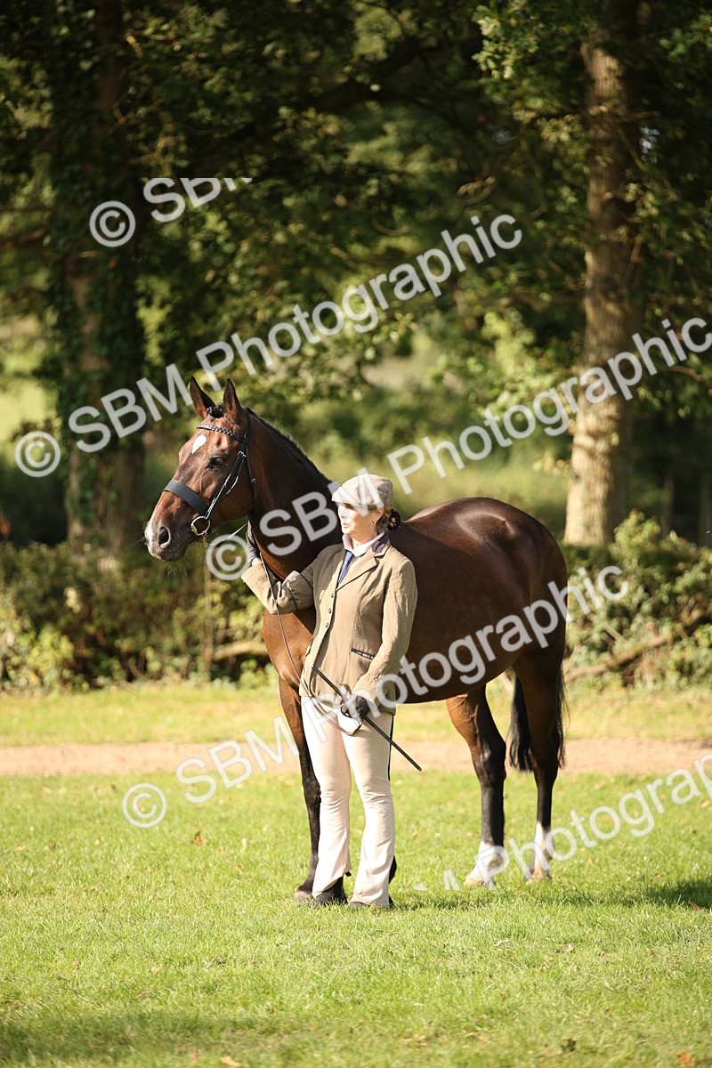 SBM_60132 - S53 - Hunter In Hand