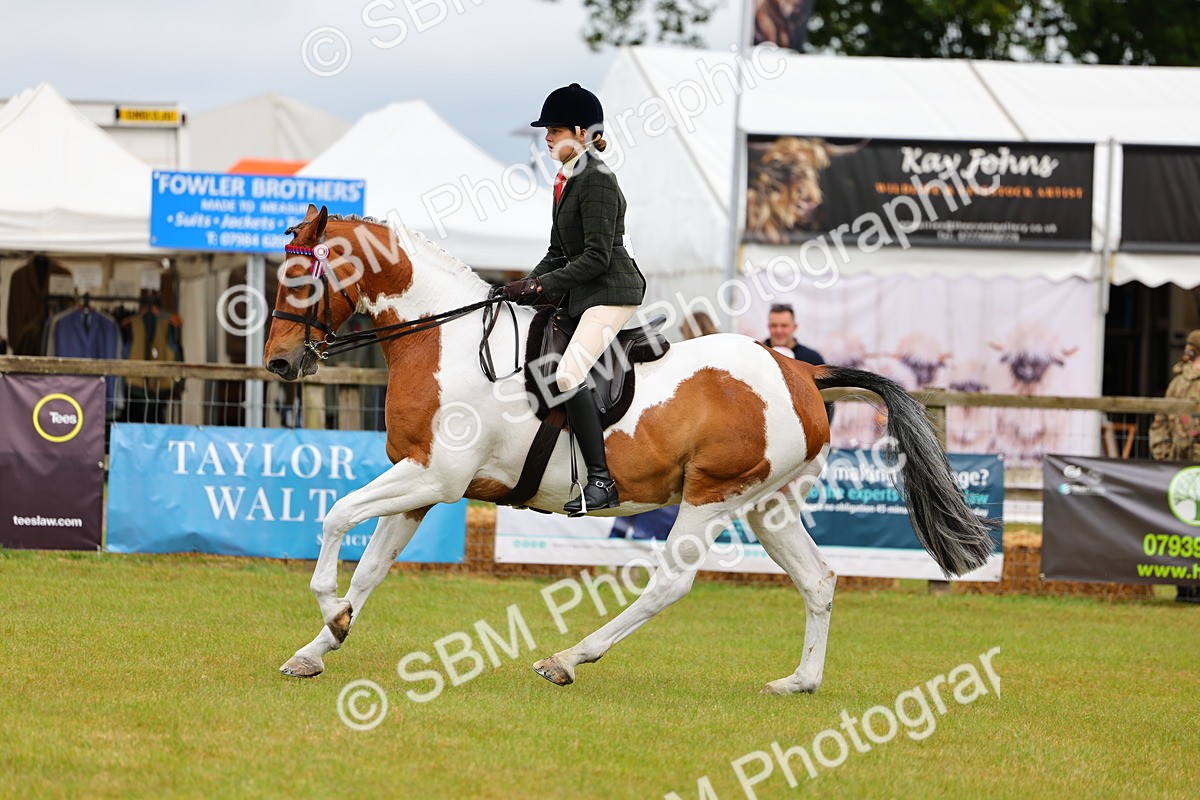 SBM_02532 - Class 9-11 Side Saddle including LIHS Rising Star Ladies Show Horse