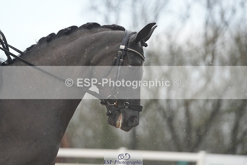 260215-142928-06844 - 056-Molly.Webb