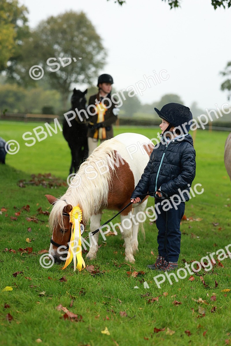 SBM_34939 - S10 - Best In Hand Horse & Pony