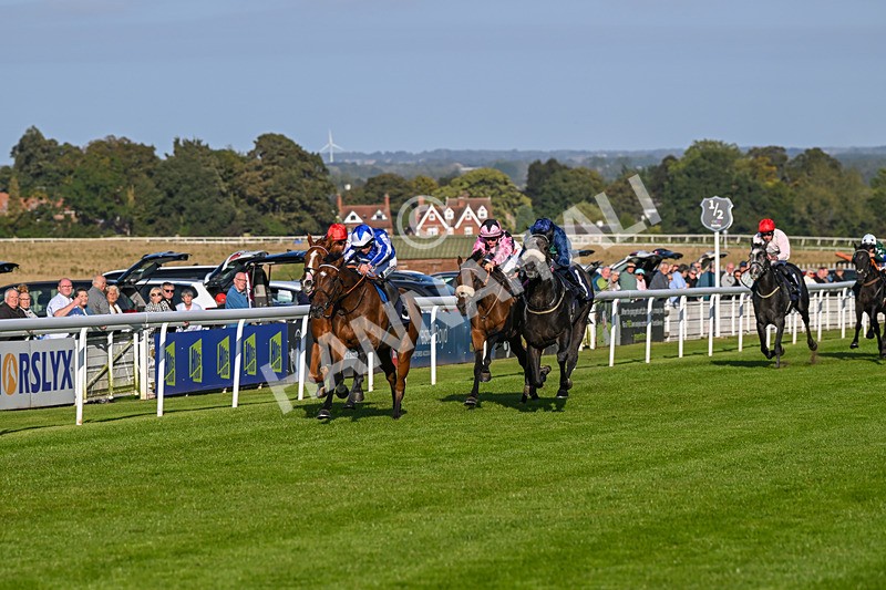 180924-Race 7-Fox Avatar-5209 - Race 7