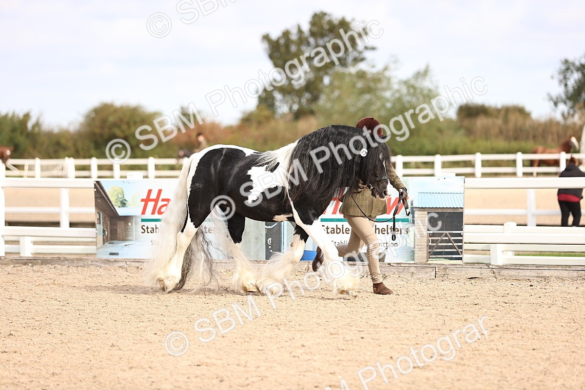 SBM_09291 - Class 404 - IH Traditional - Native Cob