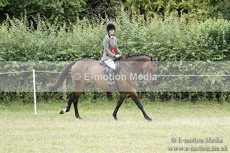 BVR160717-2330 - Working Hunter Championship 16/07/17