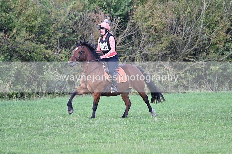 WJ7_1207 - Time 13:56 to 14:24