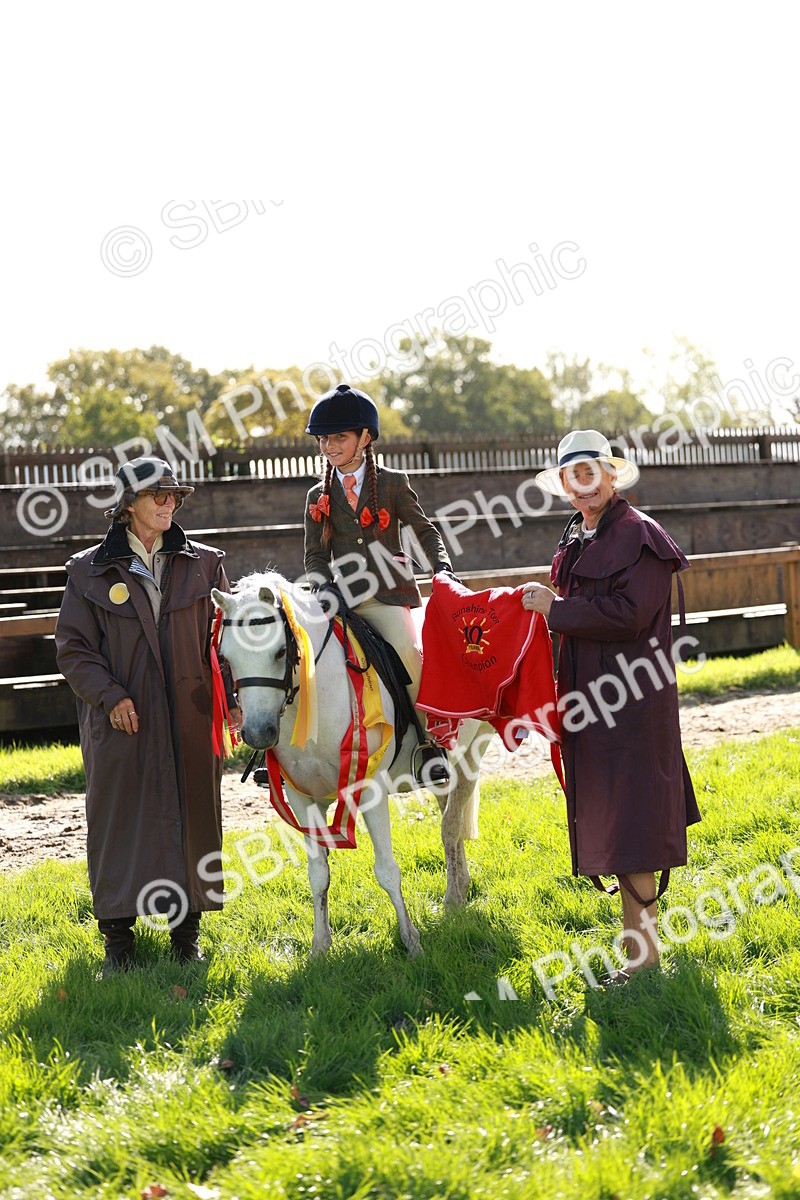 SBM_42174 - S32 - Mountain & Moorland Working Hunter Pony