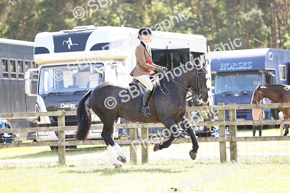 SBM_18095 - Class 81-83 - TSR Ridden Amateur of the Year - Horses