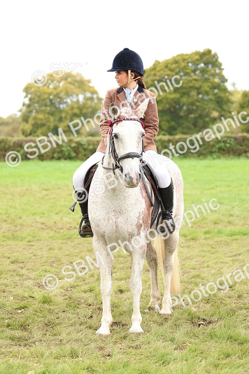 SBM_64675 - S58 - Coloured Pony Ridden