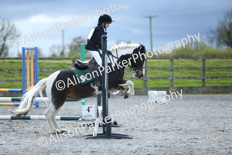 20260412-1829 - Show Jumping
