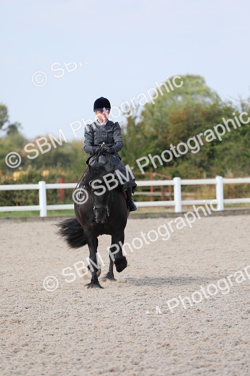 SBM_14552 - Class 211 Best Side Saddle Horse/Pony