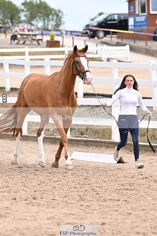 250716-142958-01130 - Trot Up 1.30 to 2.30