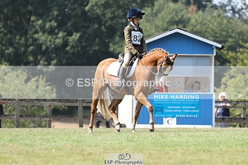 250823A-135410-31385 - Arena D