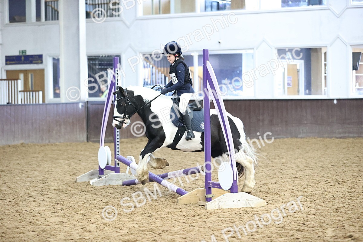 SBM_000246 - Class 2 - The Rug Lady 40cm Area 12 Championship Qualifier