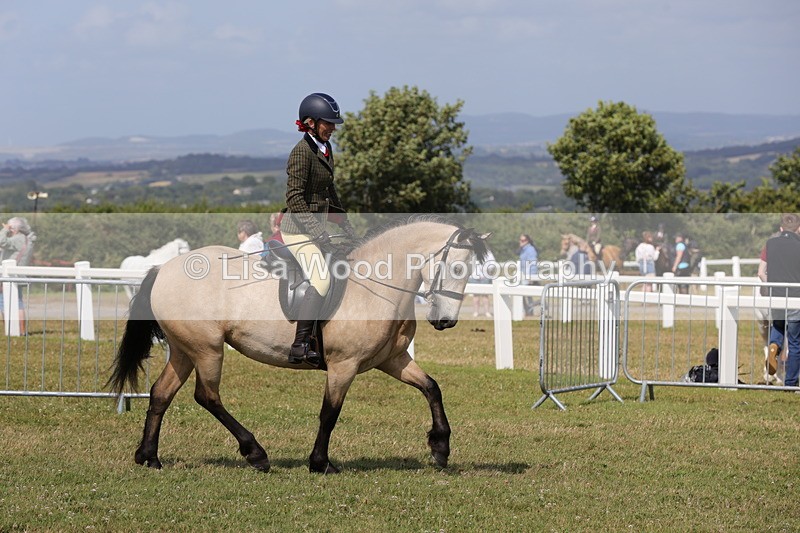 1X9A5548 - Class 38: NPS Novice Ridden Small and Large Breeds
