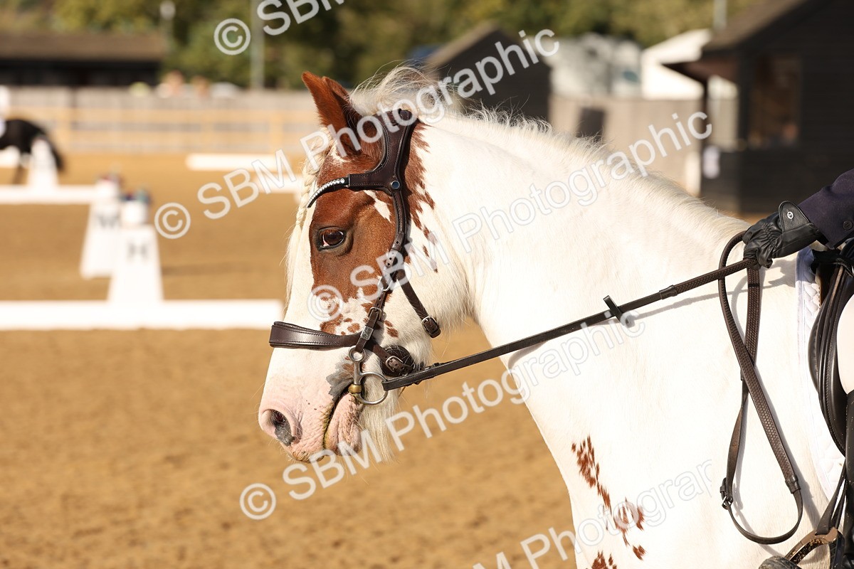 SBM_50511 - D12 - Small Tour Championship prelim 2