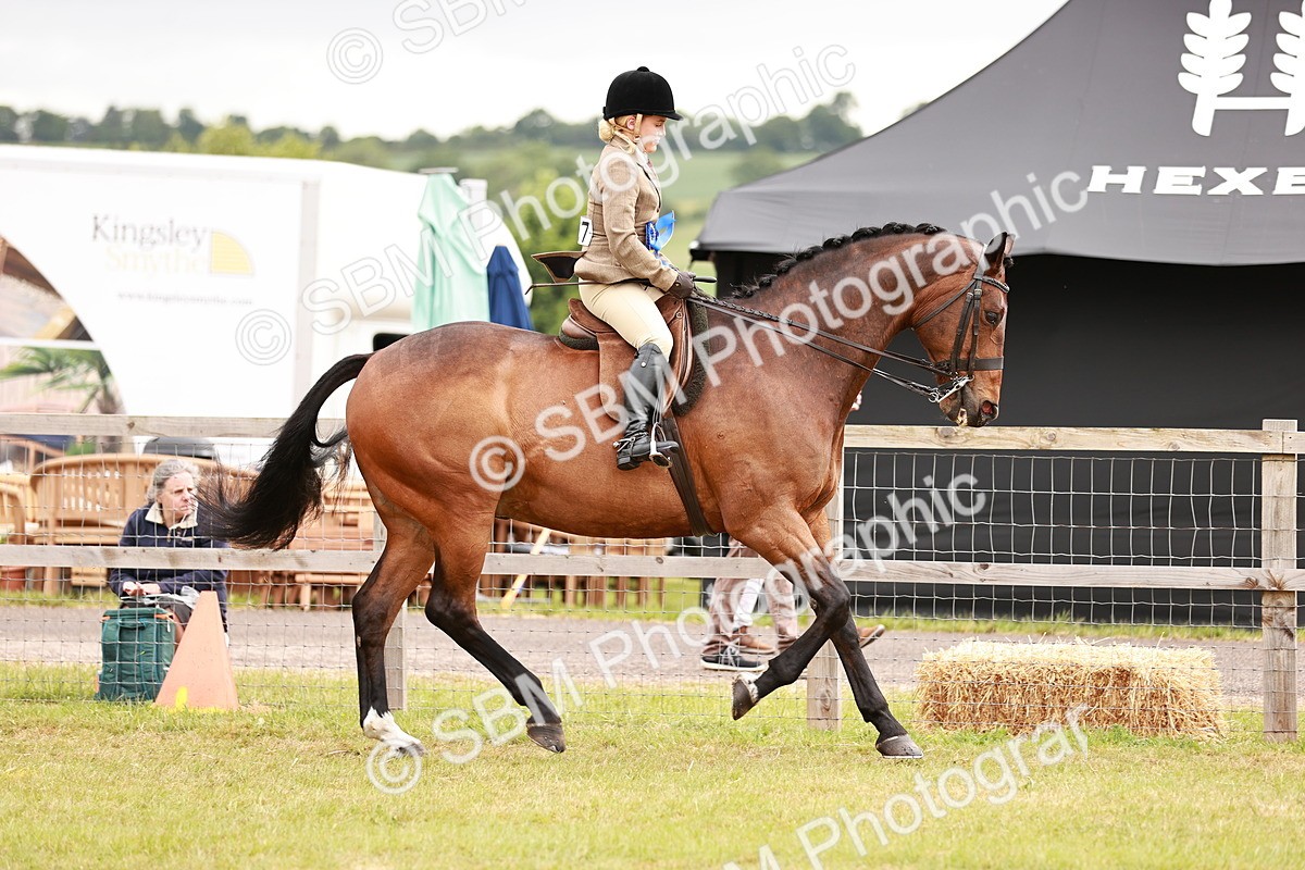SBM_10895 - Class 81-84 - RIHS Ridden hunters Inc Ladies Hunter