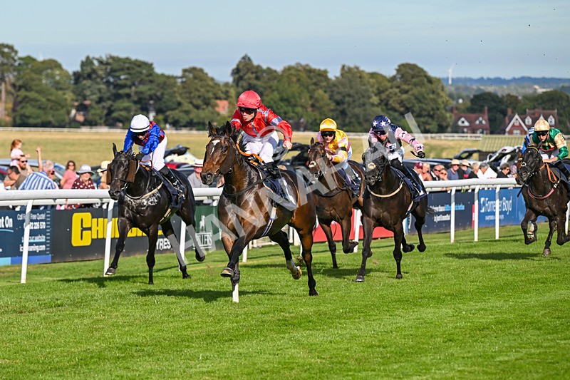 220926-Race 5-Go Victor-4354 - Race 5 3.50pm John Allinson 90th Birthday Handicap