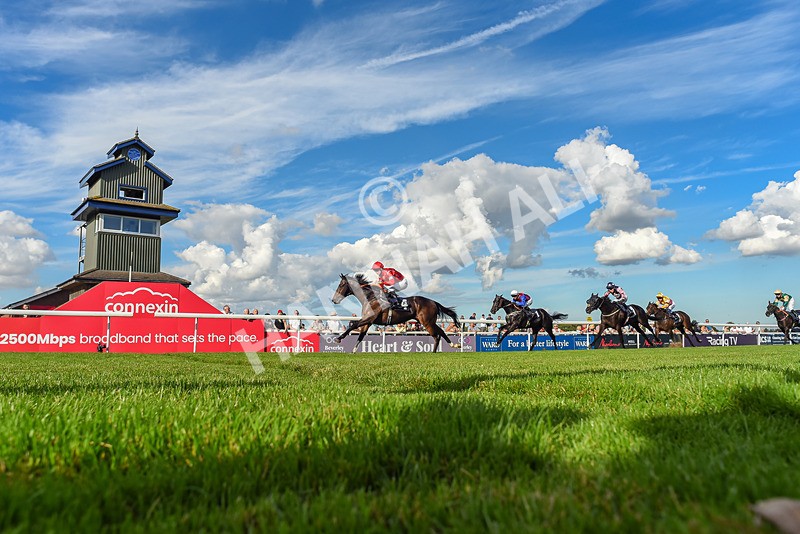 220926-Race 5-Go Victor-7910 - Race 5 3.50pm John Allinson 90th Birthday Handicap