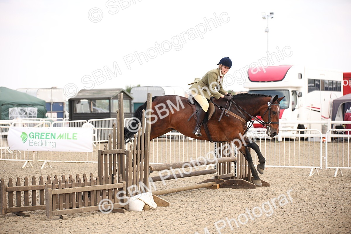 SBM_16051 - Class 408b - Working Veteran 70cm (20+)