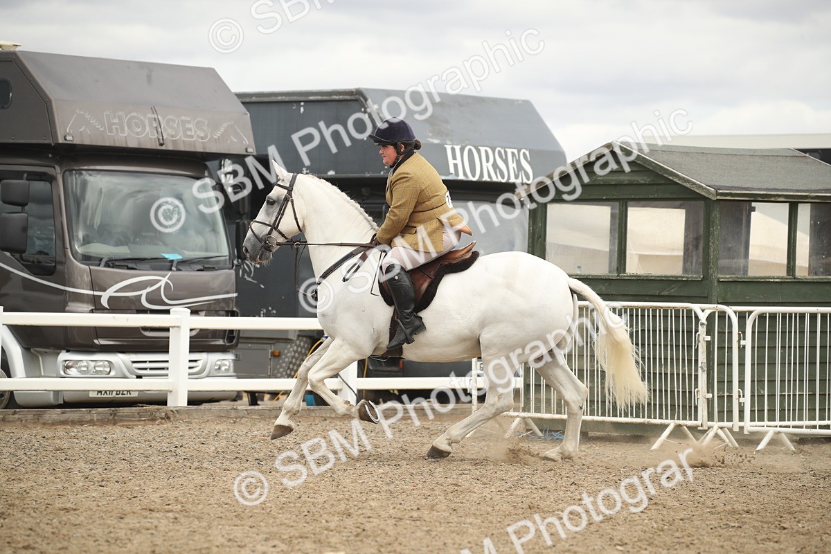 SBM_17694 - Class 508a - Working Veteran 70cm (15-19)