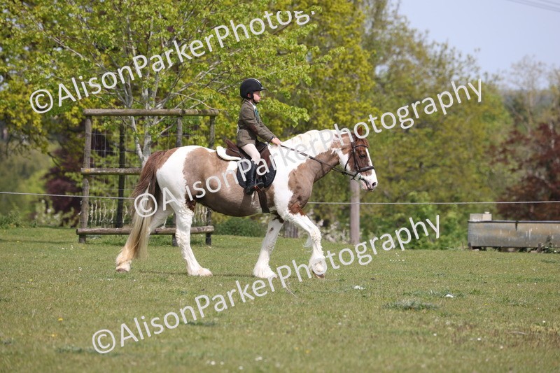 20260426-4295 - Class 34 - Best Riding Horse Over 14.2hh