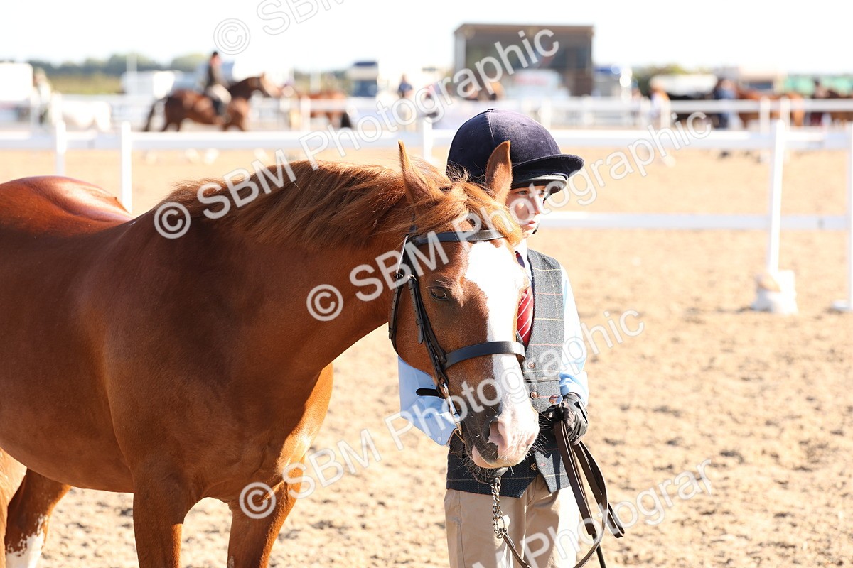 SBM_11671 - Class 203 - Young Handler 11 to 16 years