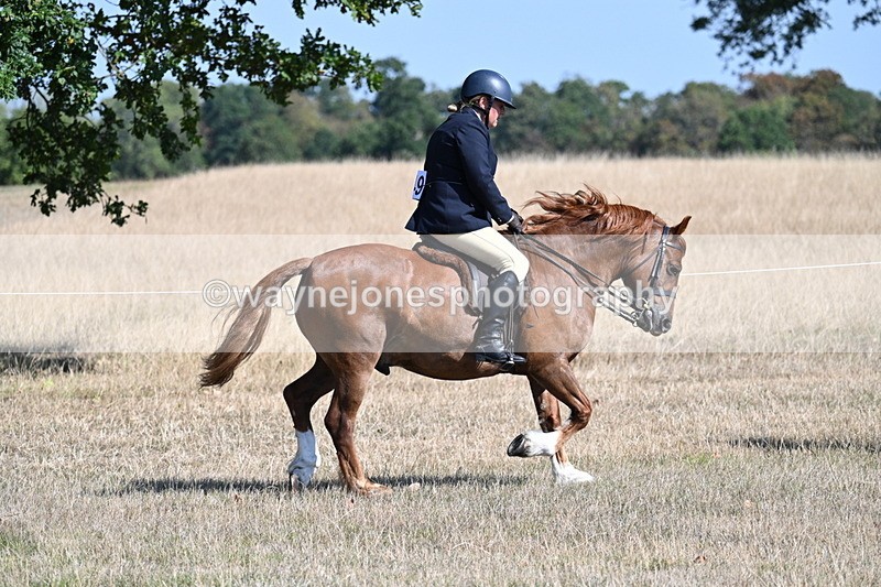 WJ7_3860 - Class 9 Mountain & Moorland Ridden